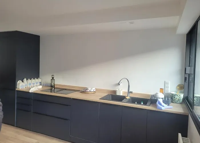 דירה Au Nom Du Zen 3 Pieces Avec Terrasse Coeur *