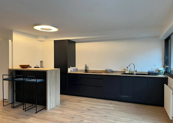 Au Nom Du Zen 3 Pieces Avec Terrasse Coeur * דוביל